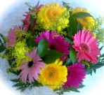 Send a bunch of gerberas in mixed colours - click to enlarge